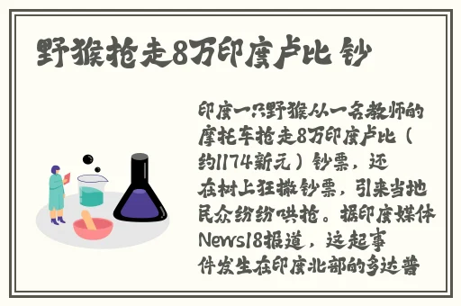 番茄视频 在线播放